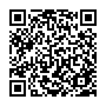 QR code for plate R46-AXG
