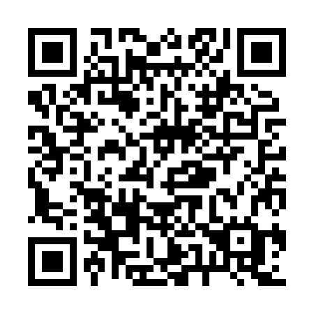 QR code for plate R53-XZG