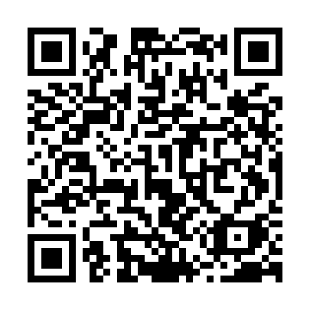 QR code for R55-MSI