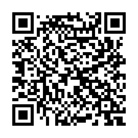QR code for R63-IVE