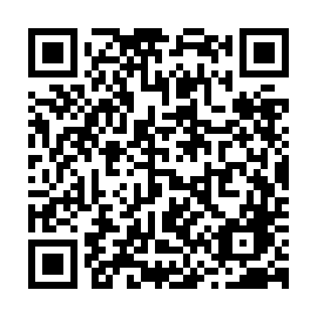 QR code for R63-ZDG