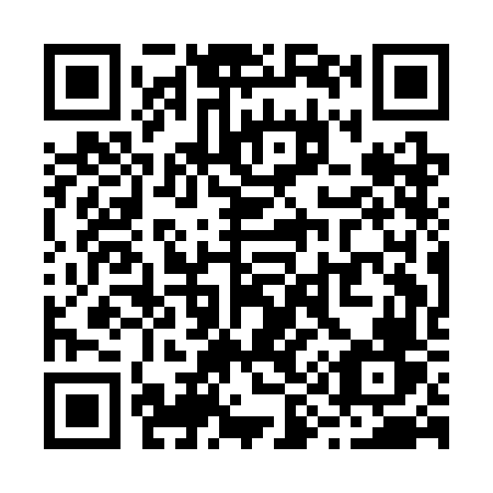 QR code for R91-CFV