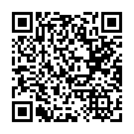 QR code for plate R91-BLW