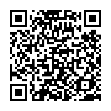 QR code for R96-TBI