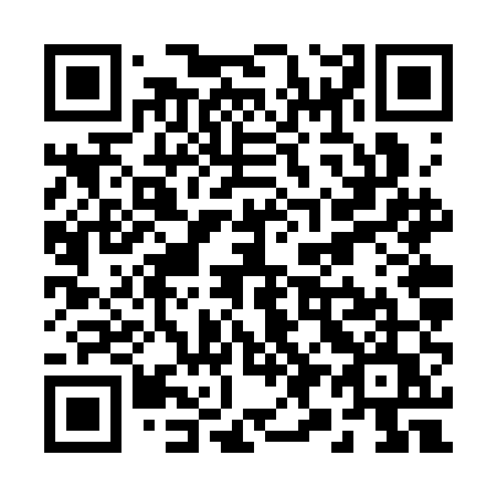 QR code for plate R96-SEU