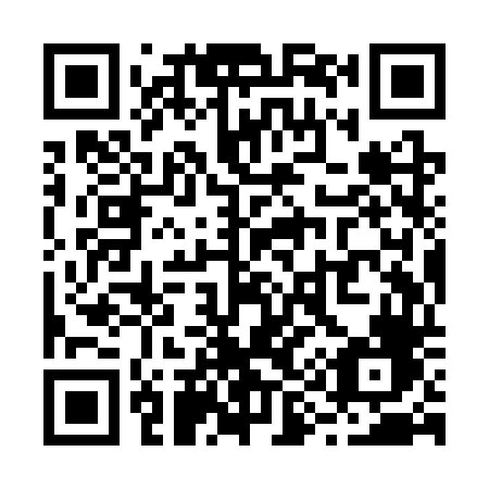 QR code for R99-STF