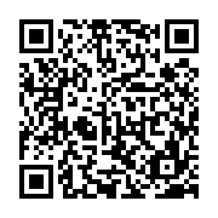 QR code for RAY-536