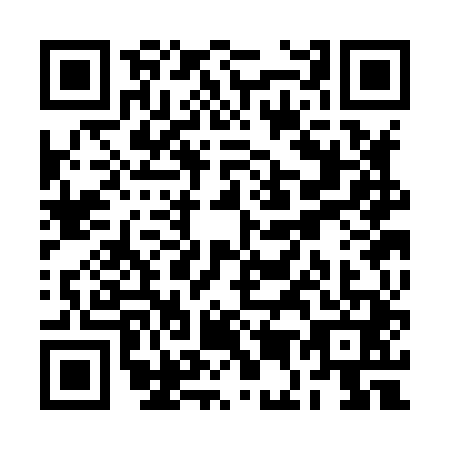 QR code for plate RE3-H419