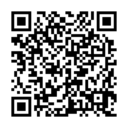 QR code for plate REZ-387