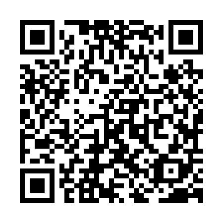 QR code for plate RFZ-208