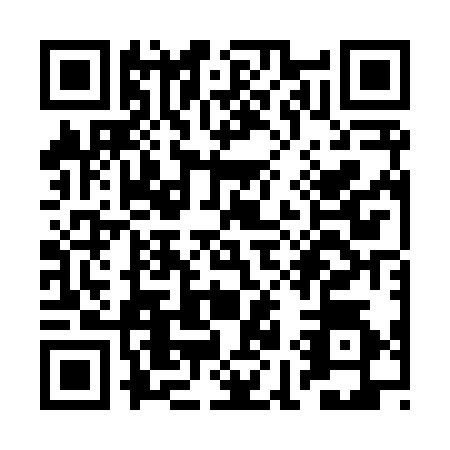 QR code for plate RI7-X341