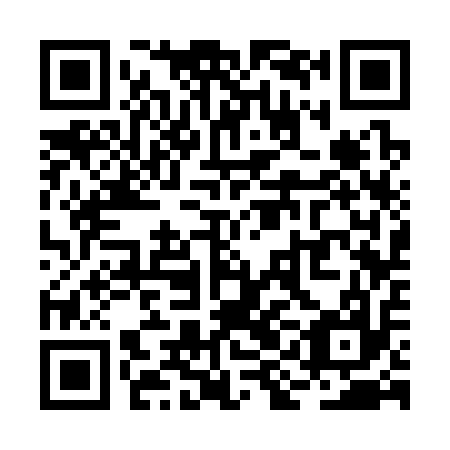 QR code for plate RIC-317