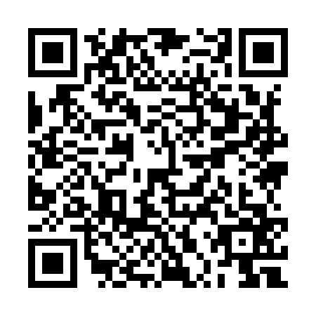 QR code for RPY9663
