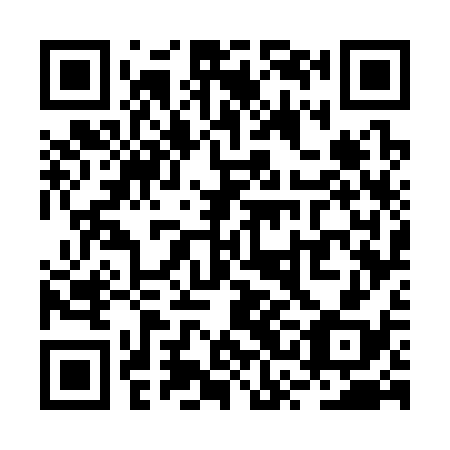 QR code for plate RSG-338