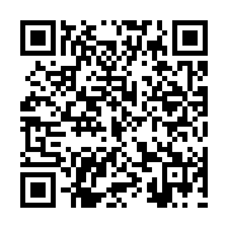 QR code for RYI-381