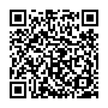 QR code for plate S25-DFK