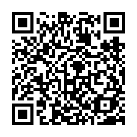 QR code for S29-FMI