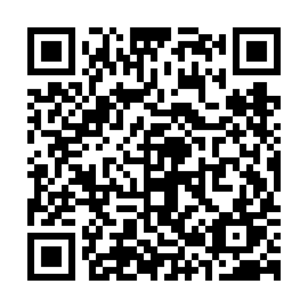 QR code for plate S29-FIT