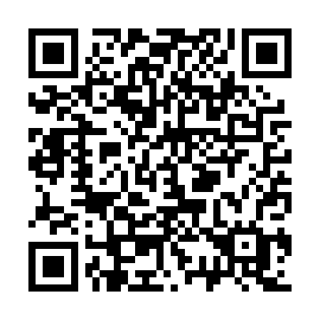 QR code for S33-PPG