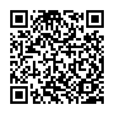 QR code for S91-LYP