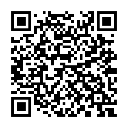 QR code for S93-PIG