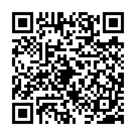 QR code for SF0V539