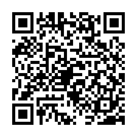 QR code for SF6-Q738