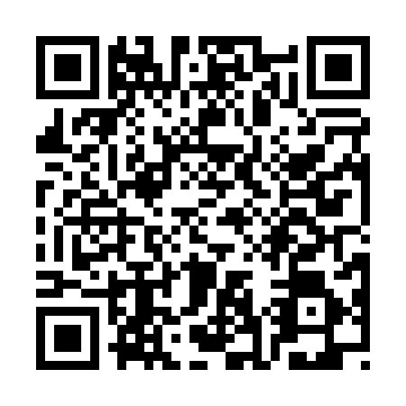 QR code for plate SG0-P869