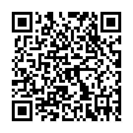 QR code for SIN-507