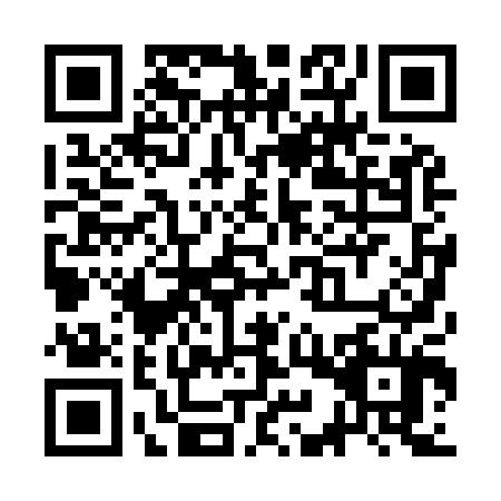 QR code for SIP-9049