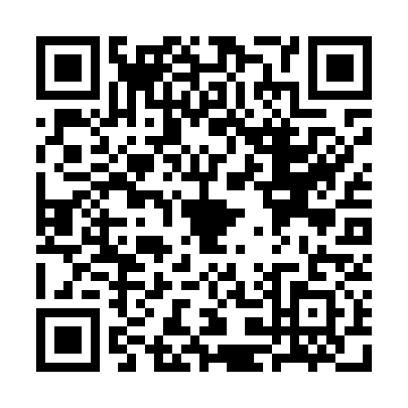 QR code for plate SK2-M313