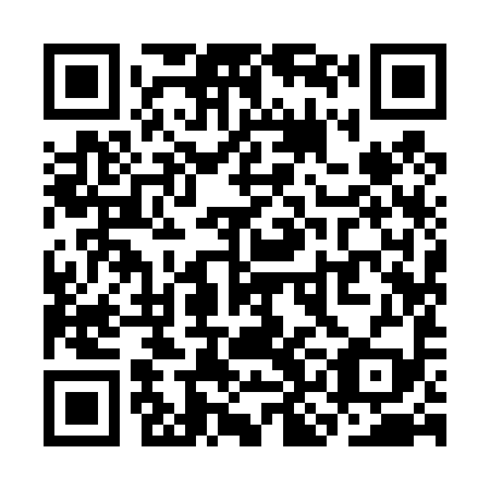 QR code for plate SKI-499