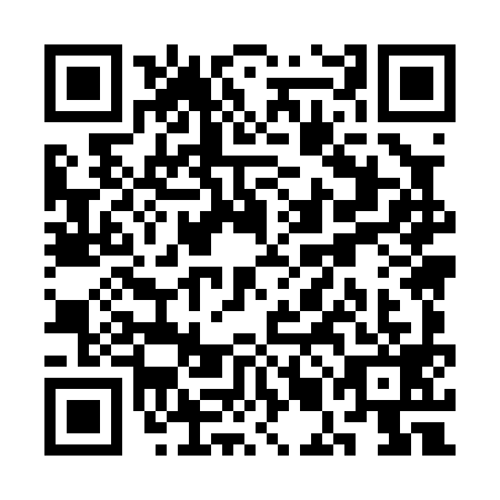 QR code for SMM-0992