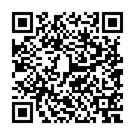 QR code for plate SND-9509