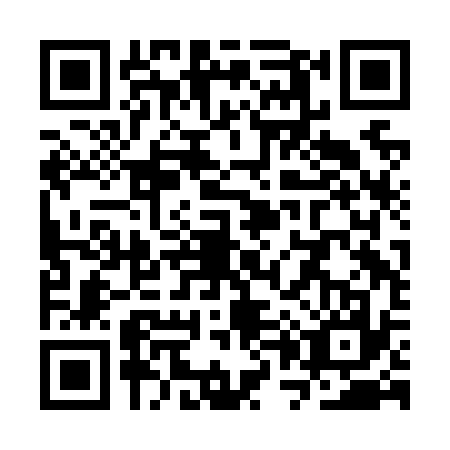 QR code for SP2-N376
