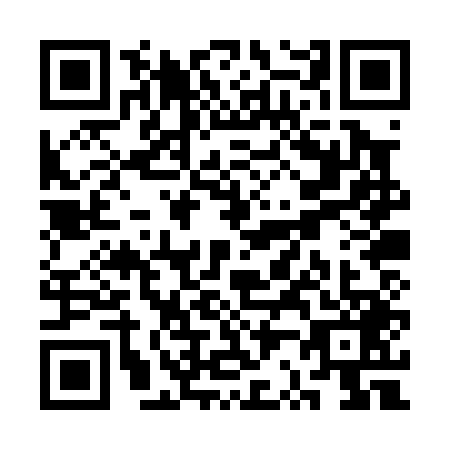 QR code for SR0-P497
