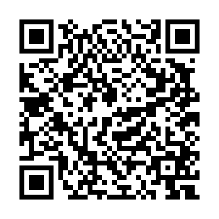 QR code for plate SR0-D446