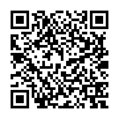 QR code for plate SR0-X396