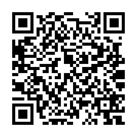 QR code for SS6-P294