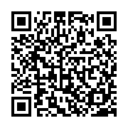 QR code for plate SSK-395