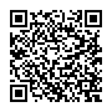 QR code for SV1-I428
