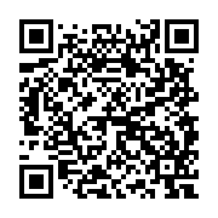 QR code for plate SVF-597