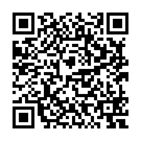 QR code for SX9H993