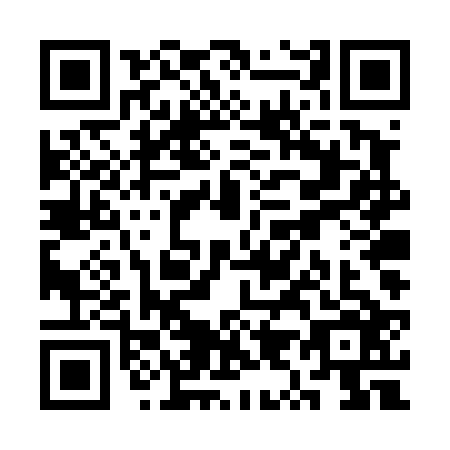 QR code for plate SY4-T261