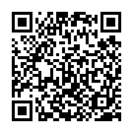 QR code for plate SYG-653