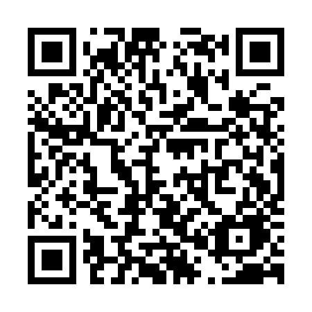 QR code for T01-IZE