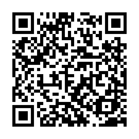 QR code for T04-CNH