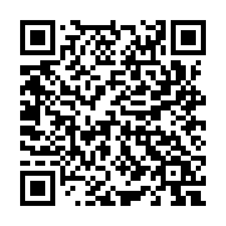 QR code for T10-IRV