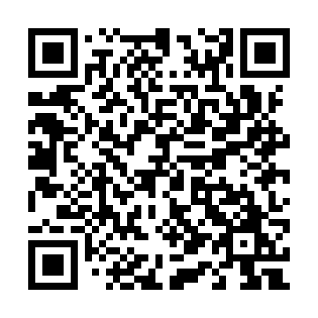 QR code for T11-IZO