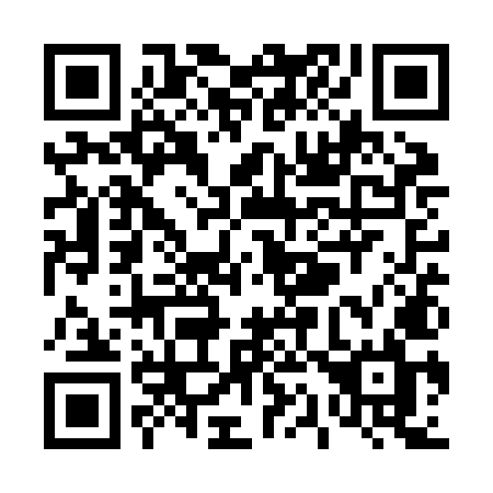 QR code for T11-ZML